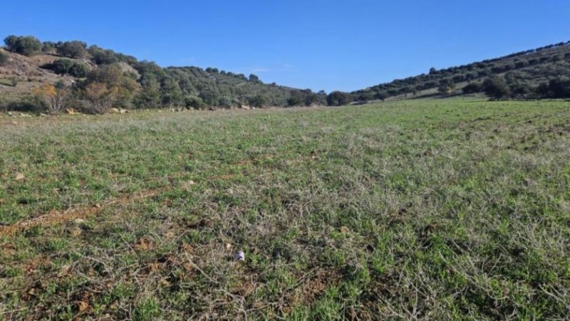 Listaros Kreta, Listaros, Grundstück mit Panorama Meerblick Grundstück kaufen